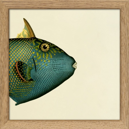 Cadre demi-poisson - 15x15 cm