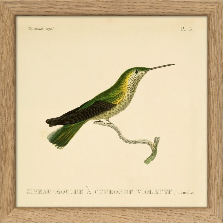 Cadre colibris - 15x15 cm